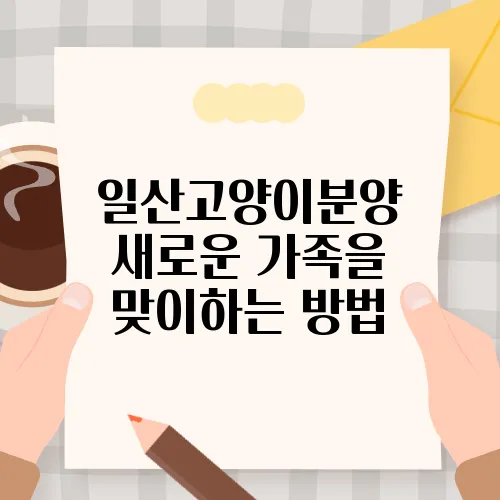 일산고양이분양 새로운 가족을 맞이하는 방법