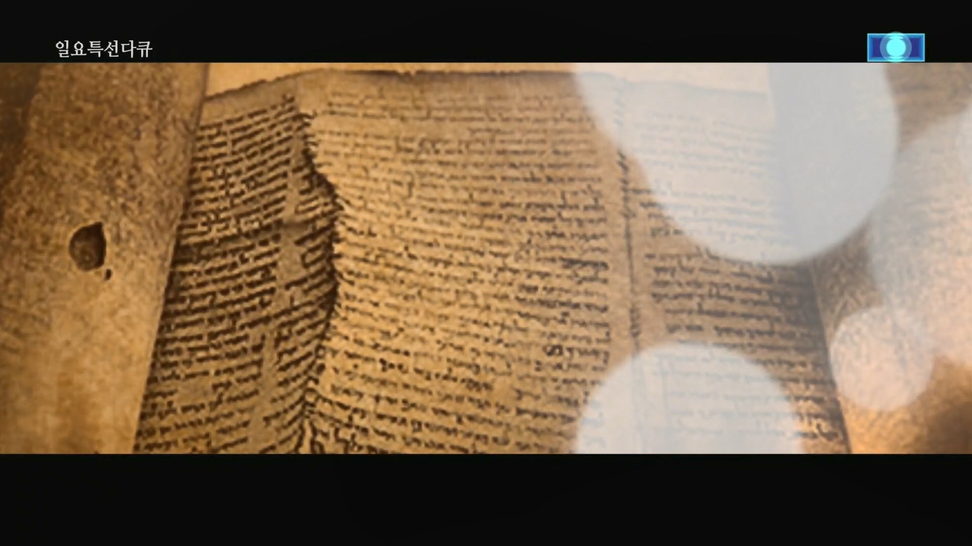 일요 특선 다큐멘터리.E342.240331p.H264-F1RST.mp4_20240406_165301.735.jpg