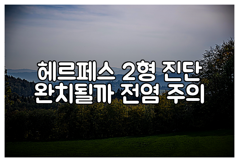헤르페스 2형 진단 완치될까 전염 주의