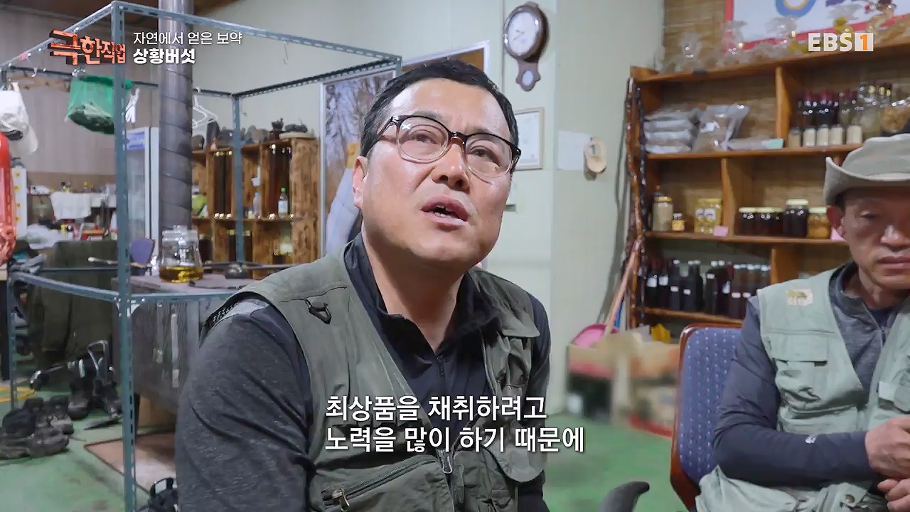 TV - 전 국민의 평생학교 EBS자연에서 얻은 보약, 상황버섯과 산나물, 쌍화차.mp4_20240615_172245.892.jpg