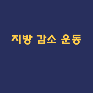 지방 감소 운동