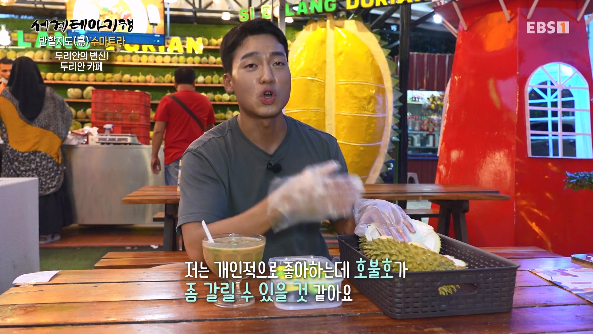 세계테마기행.230731.반할지도(島) 수마트라-1.북수마트라 제대로 즐기기.mp4_20230820_122421.861.jpg