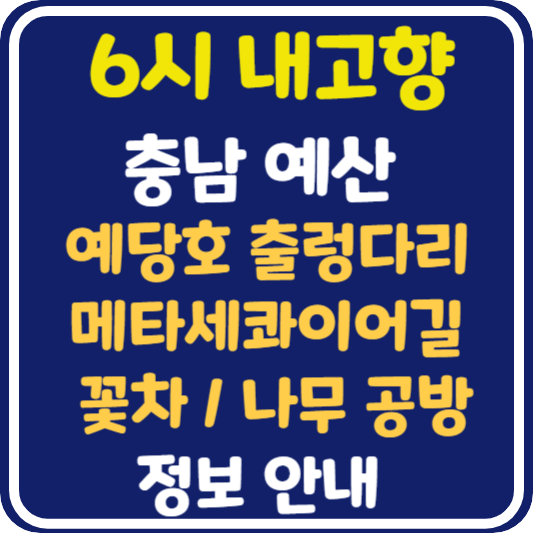 6시 내고향 예산 예당호 출렁다리, 메타세콰이어길, 꽃차, 나무공방 정보 안내