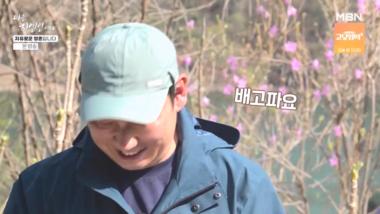 나는 자연인이다.E604.240509p-NEXT.mp4_20240509_195713.534.jpg