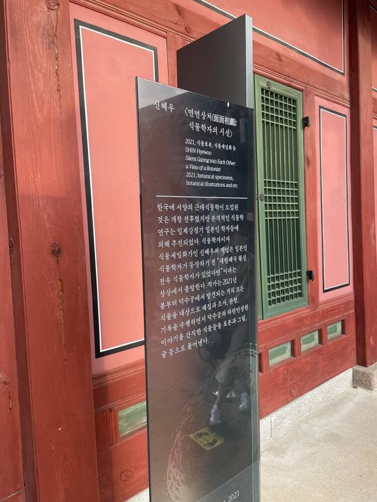 면면상처 식물학자의 시선