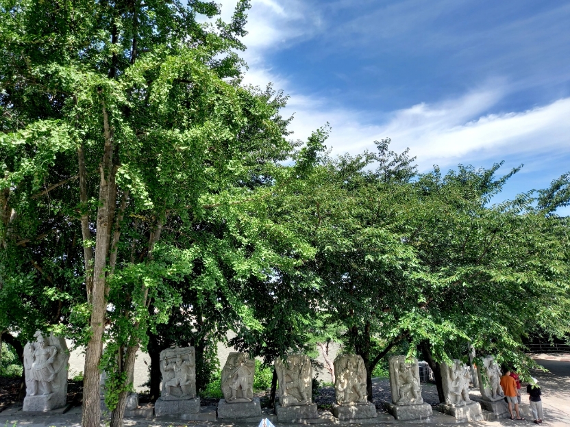 img.jpg