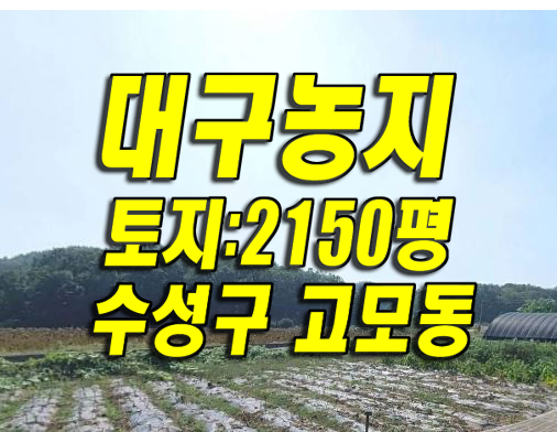 대구 농지 수성구 고모동 #과수원 #농지 땅 경매 매매