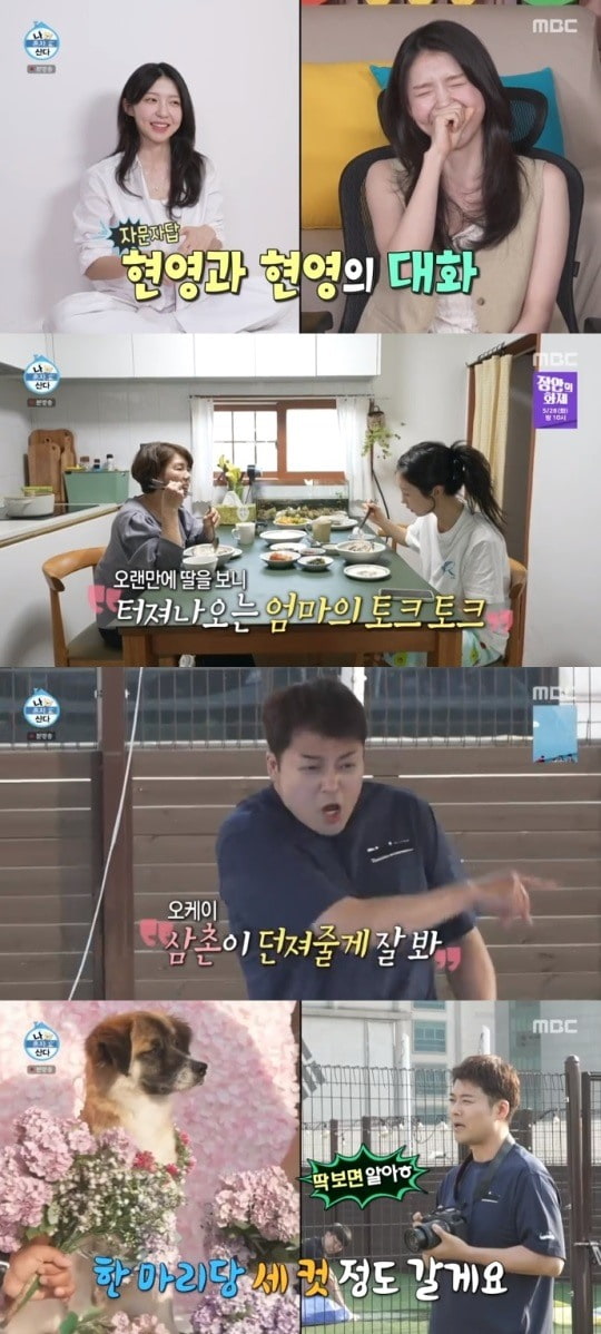 전현무