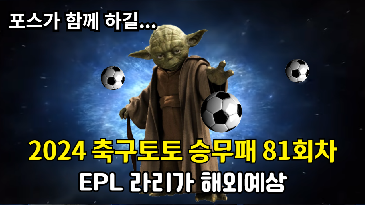 축구토토 승무패 81회차