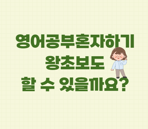  영어공부혼자하기 왕초보도 할 수 있을까요?