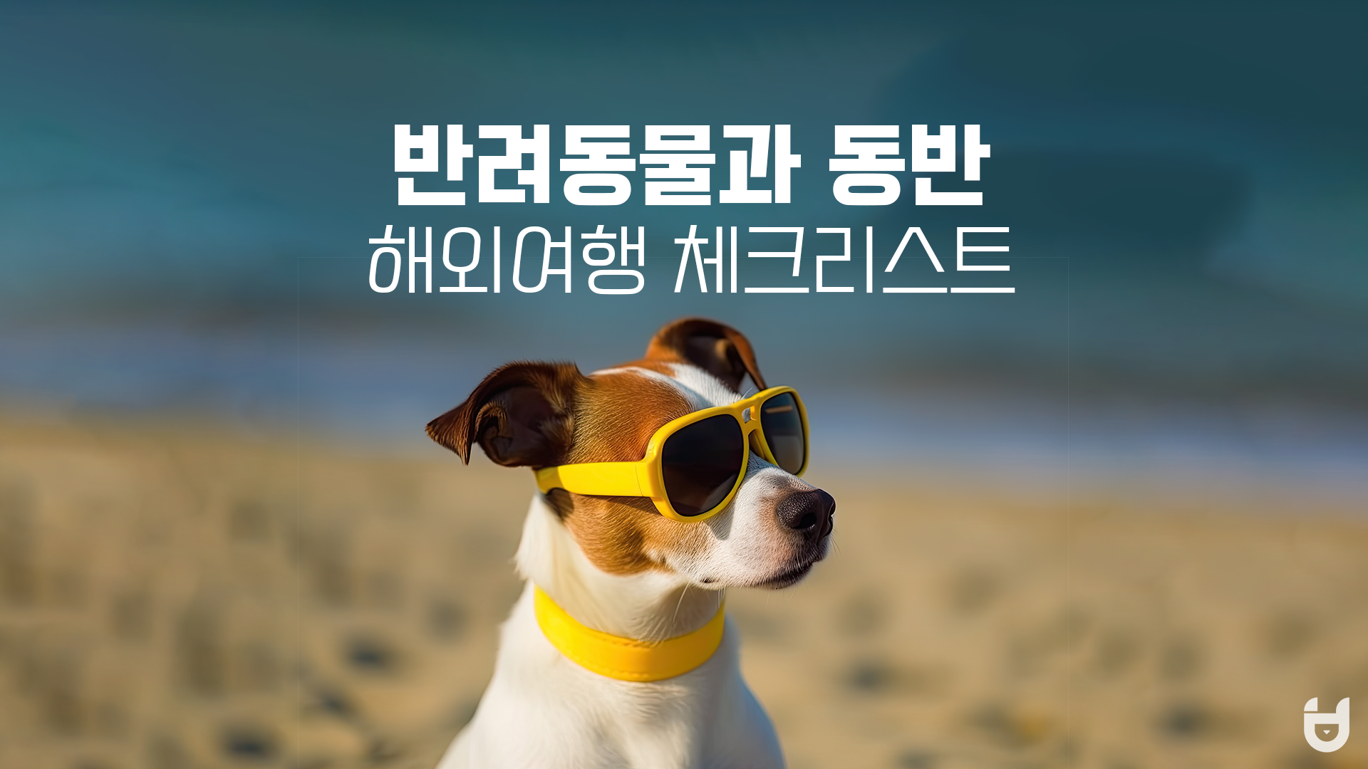  반려동물 동반 해외여행 간다면? 준비해야 할 체크리스트