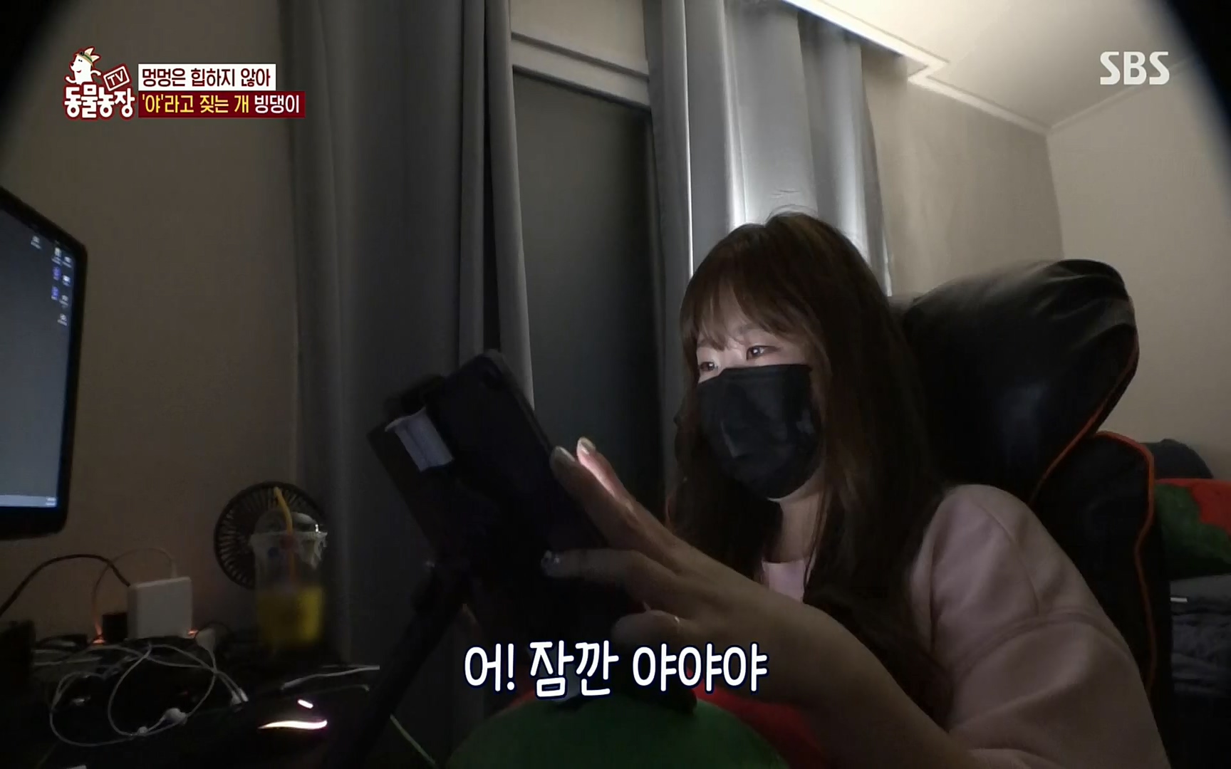 TV 동물농장.E1072.220605p.H264-F1RST.mp4_20220605_181428.480.jpg