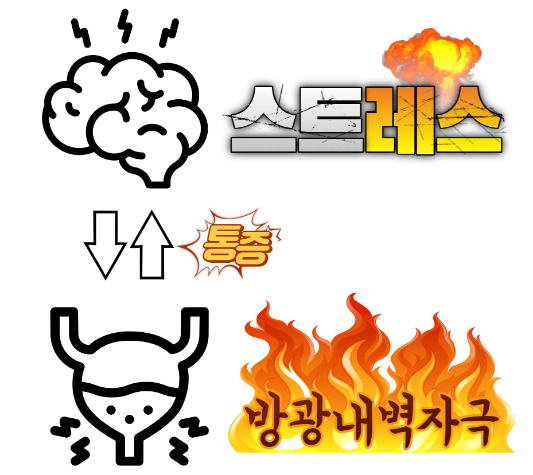 고양이 특발성 방광염