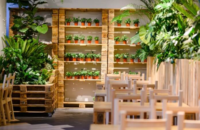식물 카페