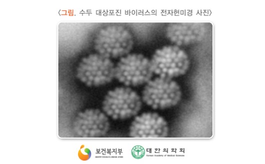  코로나바이러스처럼 대상포진도 전염될까?