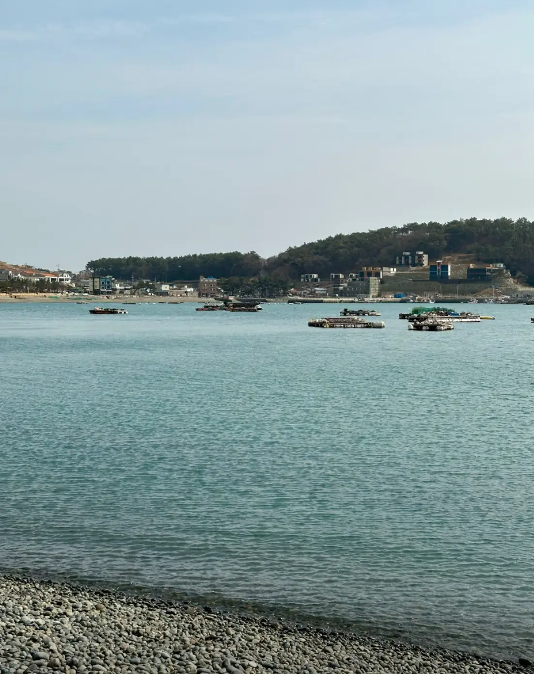 사진49