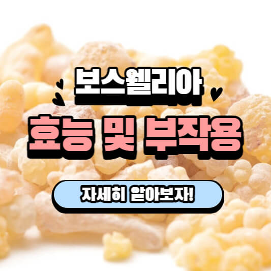  관절엔 보스웰리아! 효능 자세하게 알아보고 드셔야겠죠? 보수웰리아!
