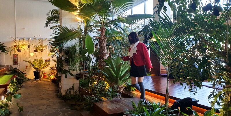남양주-카페-라온숨-1층-식물관-식물원