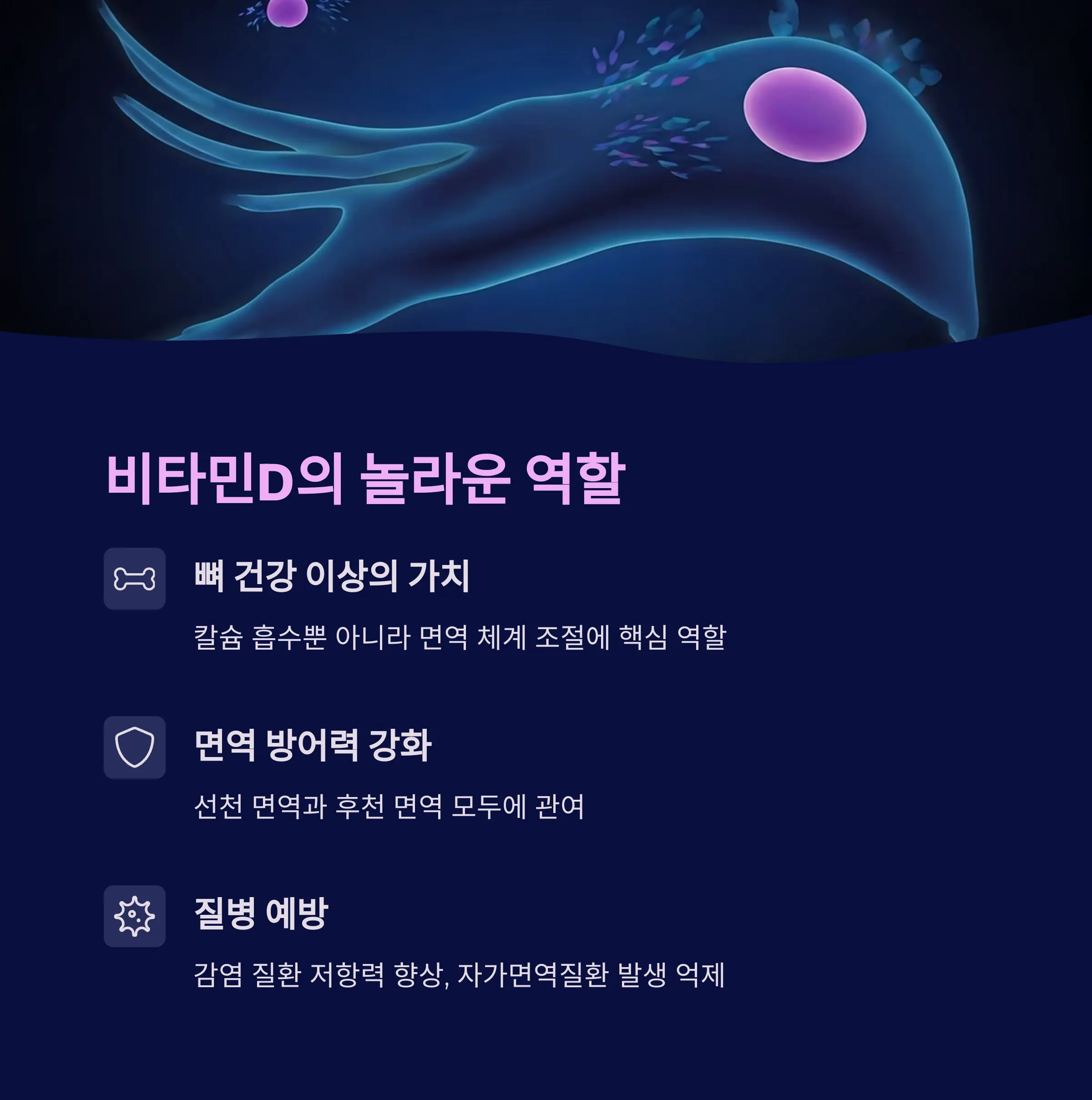 비타민D의 기능과 그 중요성