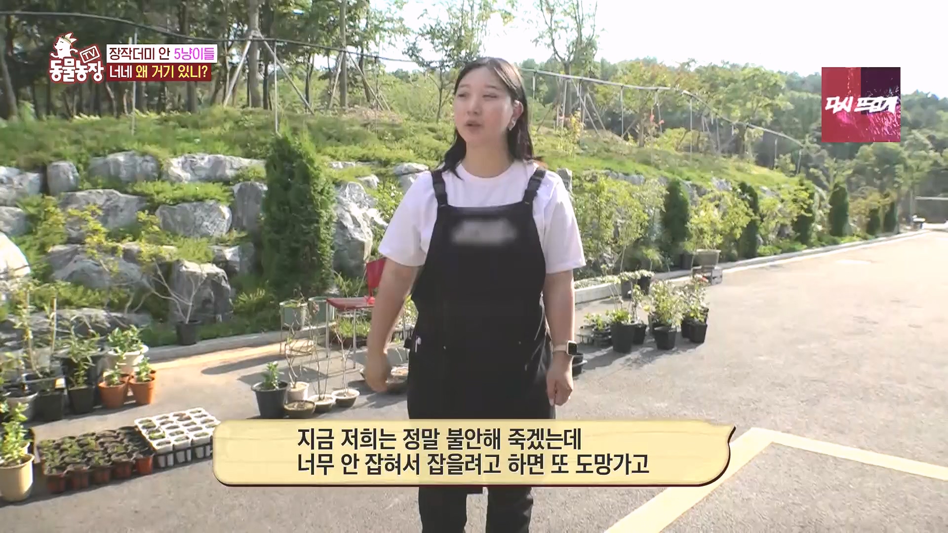 TV 동물농장.E1182.240728p.H264-F1RST.mp4_20240728_152522.565.jpg