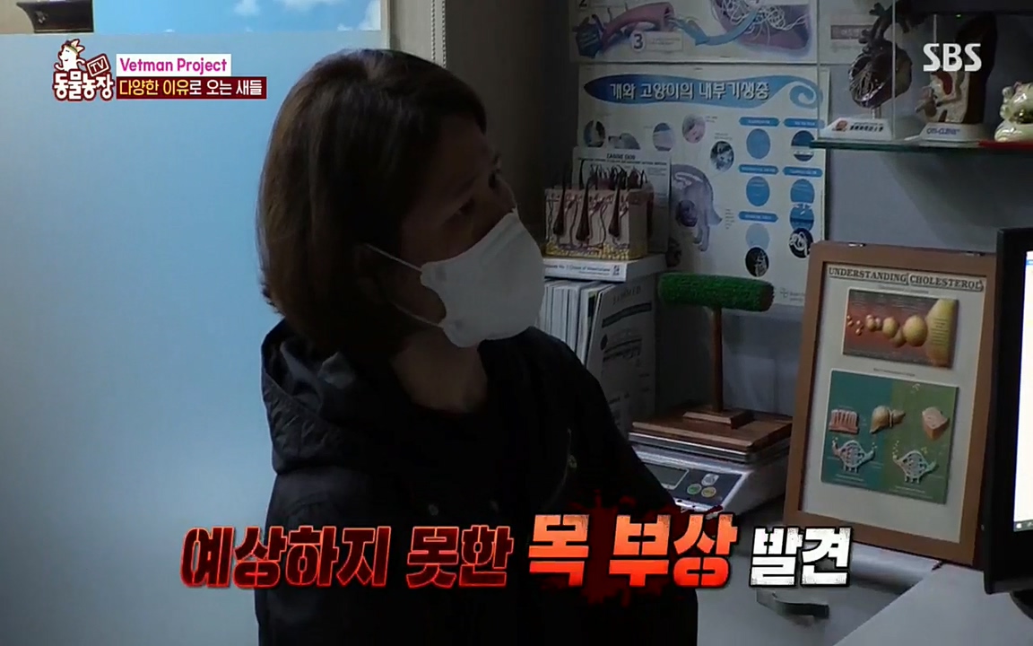 TV 동물농장.E1076.220704p.H264-F1RST.mp4_20220703_175601.791.jpg