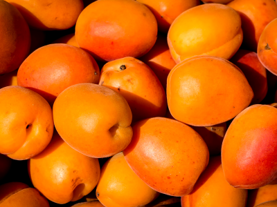 살구 효능 10가지 35