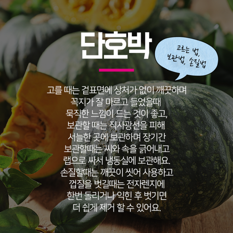 항산화 성분이 풍부한 호박 효능, 영양 성분