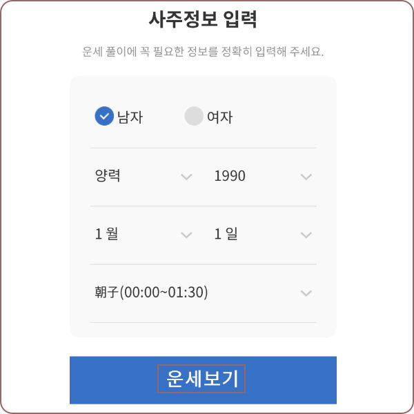 사주 정보 입력을 보여주는 이미지