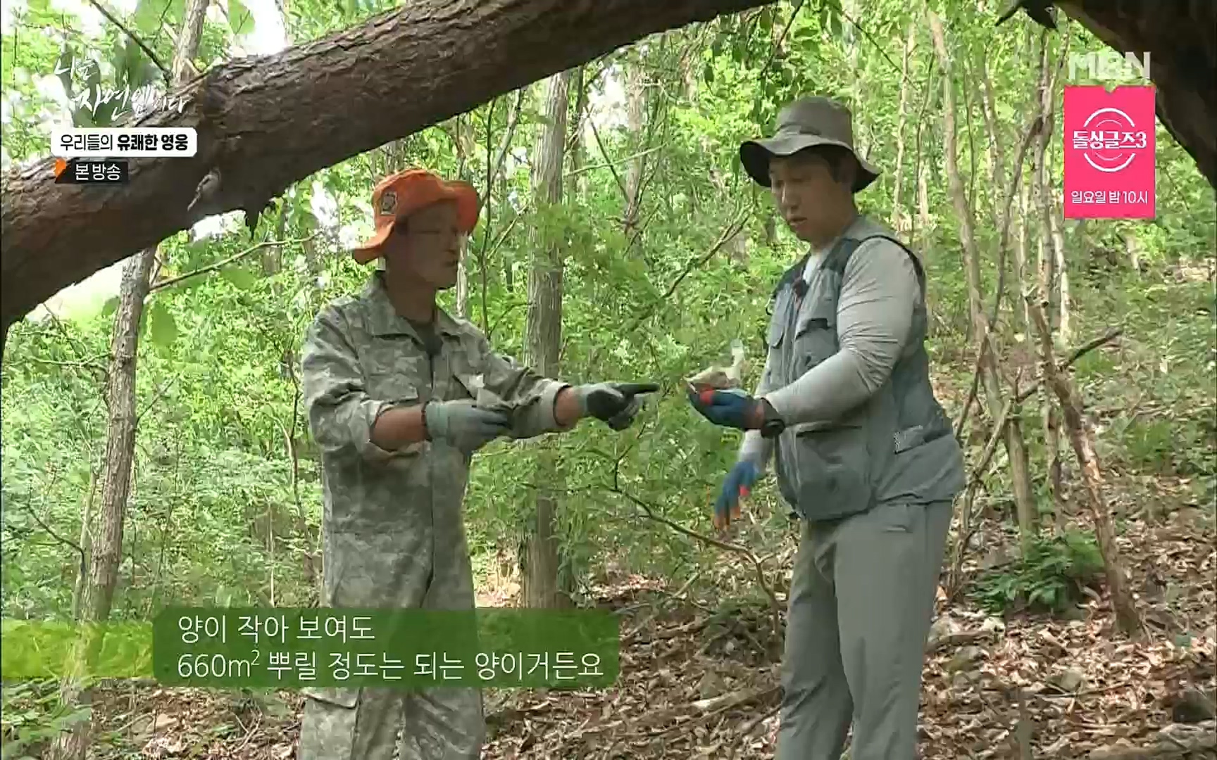 나는 자연인이다.E508.220629p.H264-F1RST.mp4_20220630_203356.730.jpg