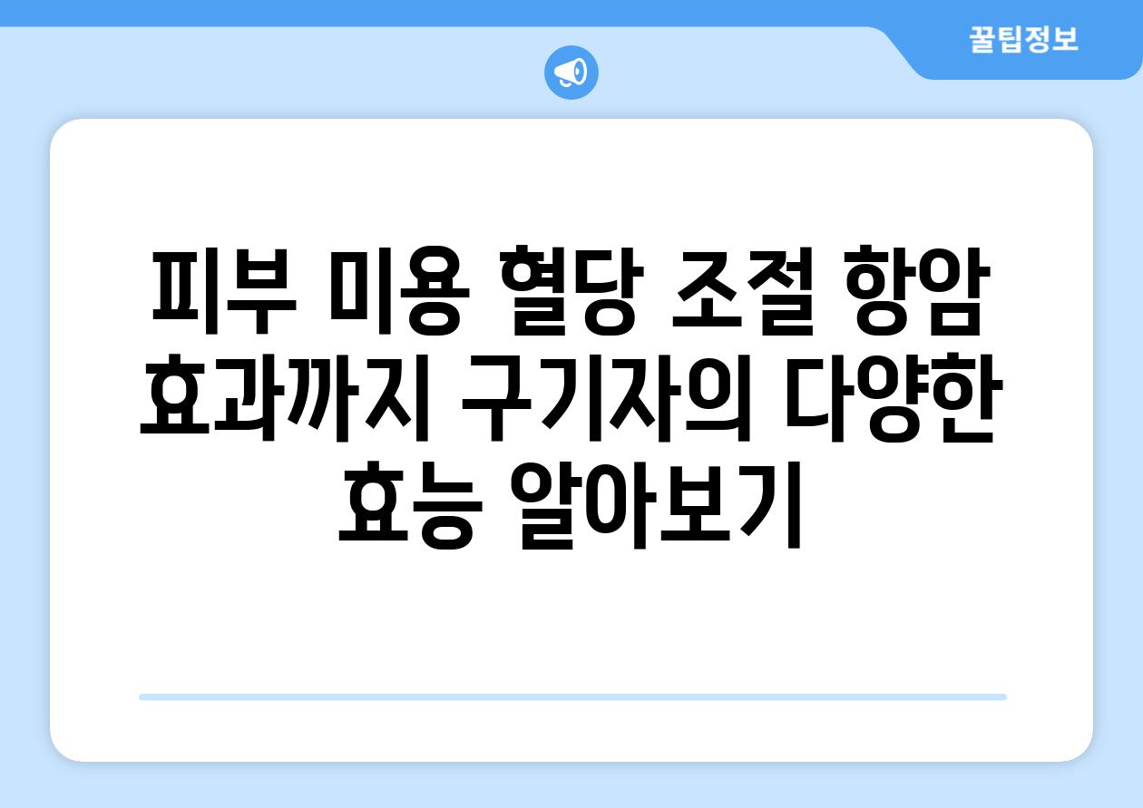 피부 미용 혈당 조절 항암 효과까지 구기자의 다양한 효능 알아보기