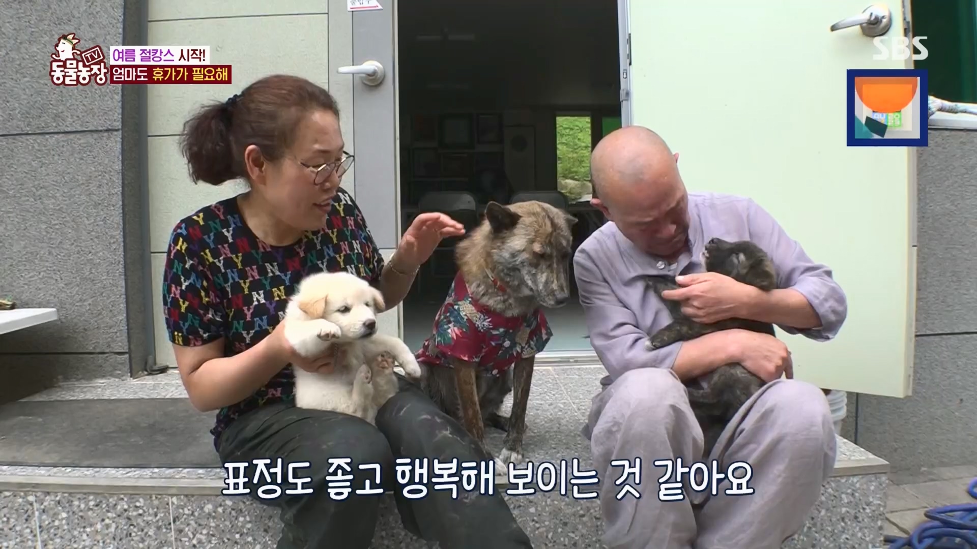 TV 동물농장.E1130.230723p.H264-F1RST.mp4_20230723_171205.278.jpg