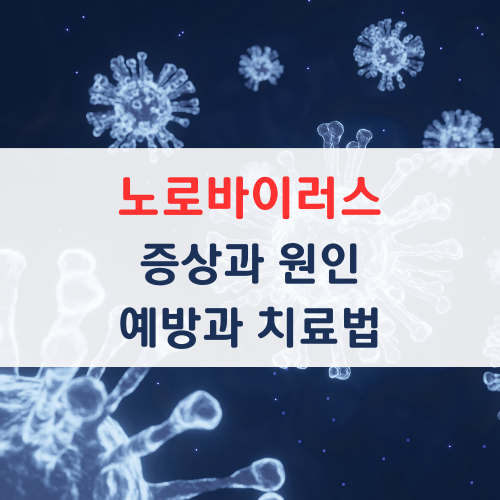 노로바이러스증상과원인예방과치료법썸네일