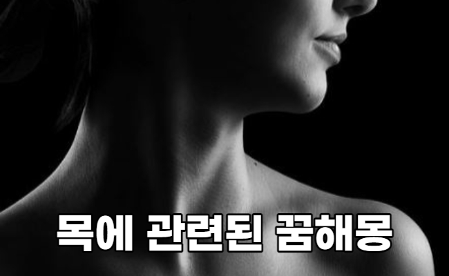 목졸리는꿈