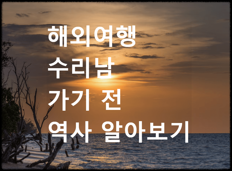 해외여행 수리남 역사