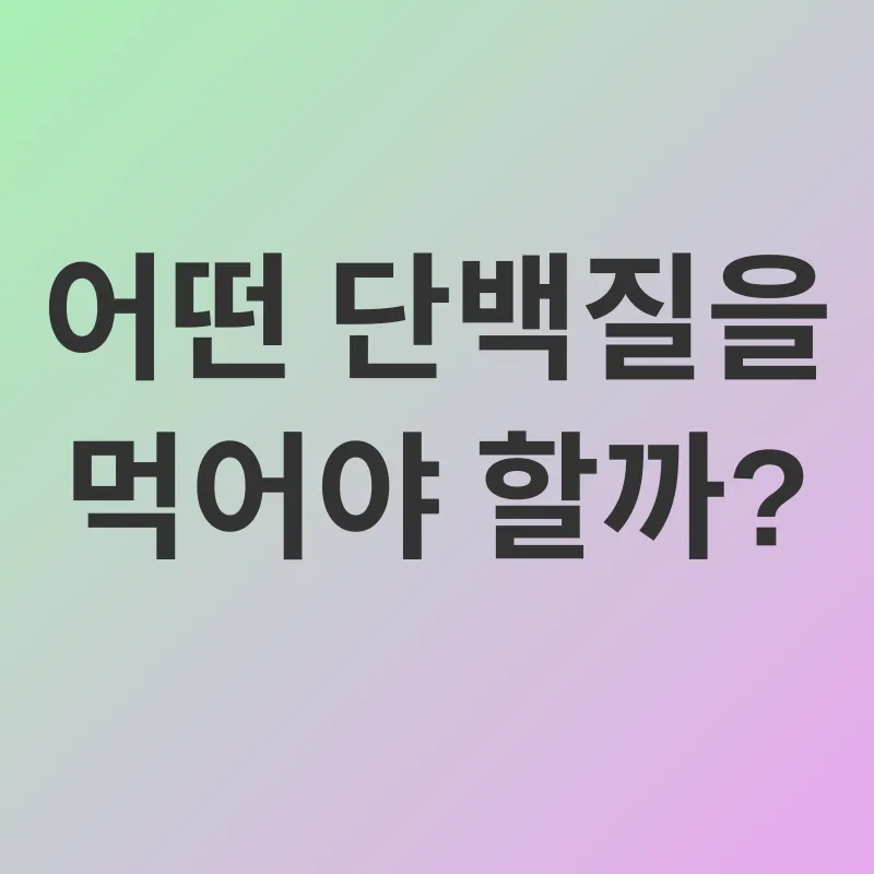 단백질 섭취_2