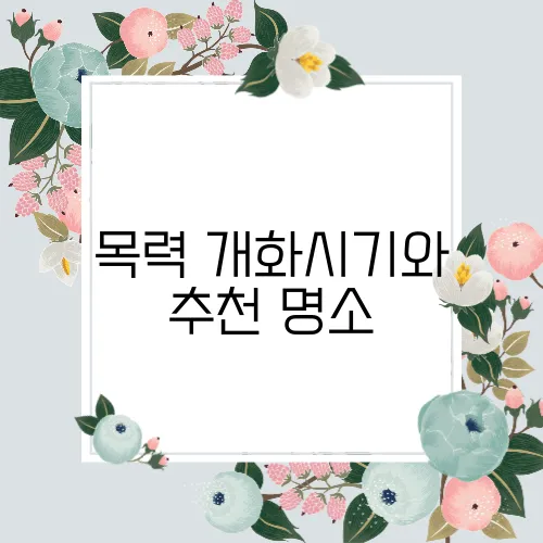 목력 개화시기와 추천 명소