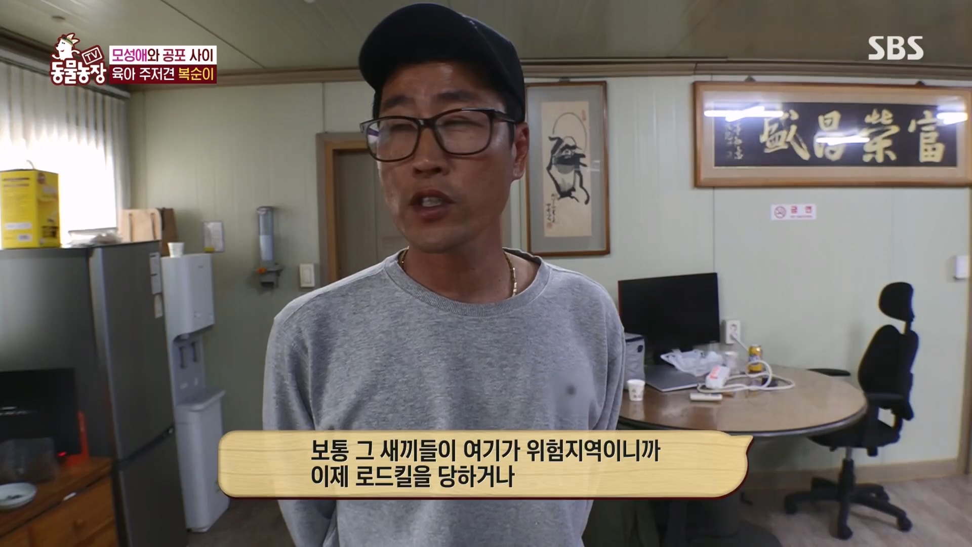 TV 동물농장.E1118.230423p.H264-F1RST.mp4_20230423_181108.434.jpg