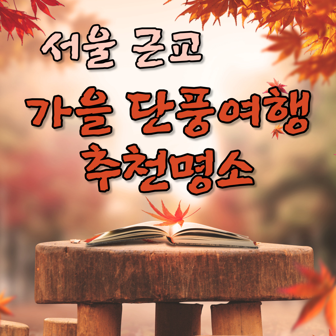  [가을 단풍여행 좋은곳 추천명소] 서울근교 베스트! 주말데이트 드라이브