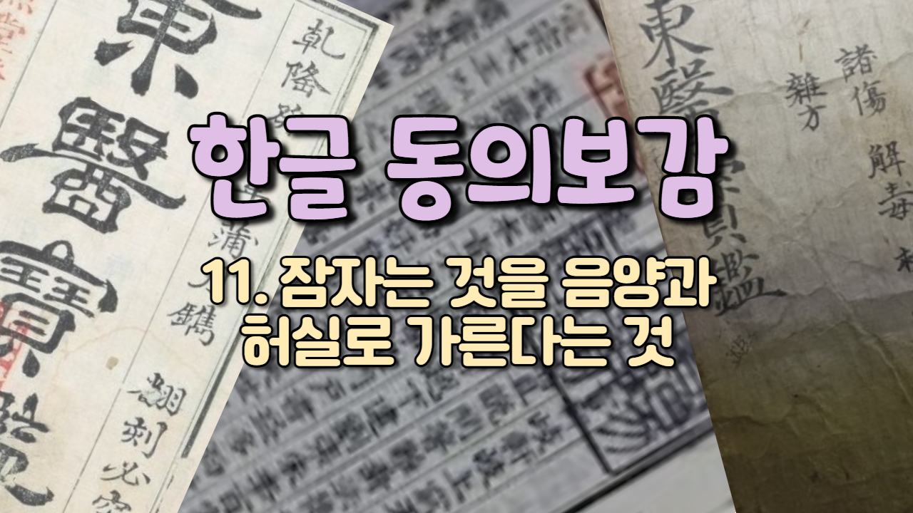  11. 잠자는 것을 음양과 허실로 가른다는 것 (내경편 꿈 )