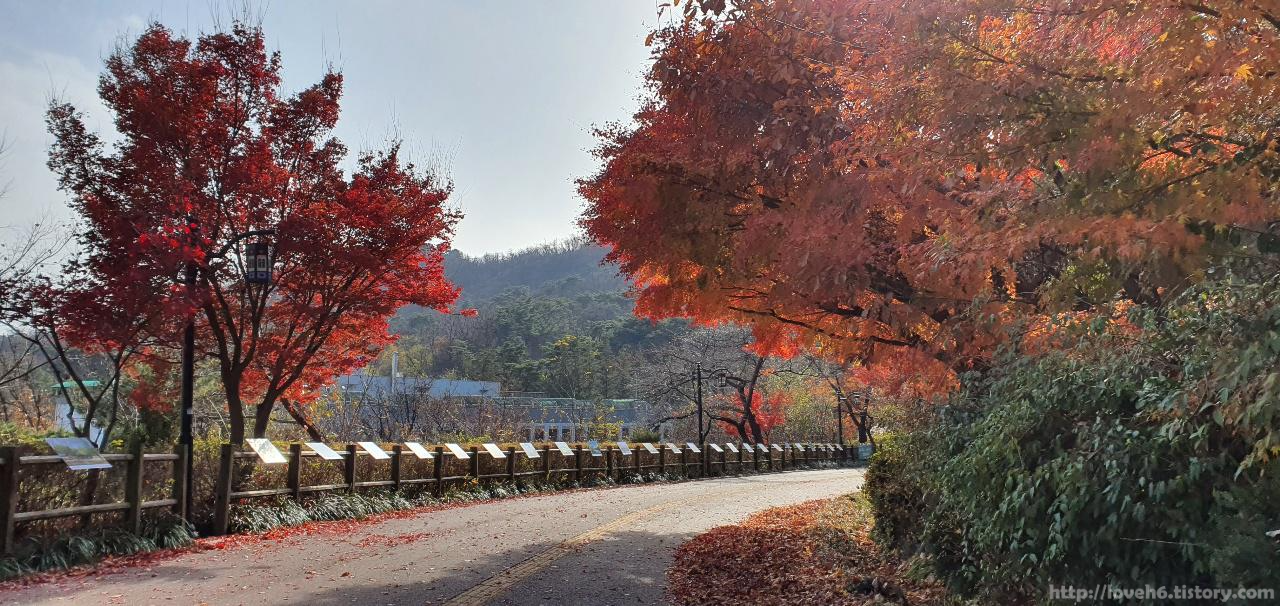남산 Namsan/ 올라가서 가던 길 마저 걷는데 서울시 공원 사진 전시회가 있어서 서울의 다양한 공원의 모습을 볼 수 있었습니다. 서울시 공원 사진사란 서울 공원의 모습을 사진으로 기록하고 공원이 주는 즐거움을 다시 시민과 공유하는 시민참여 프로그램입니다. 링크 참고하세요