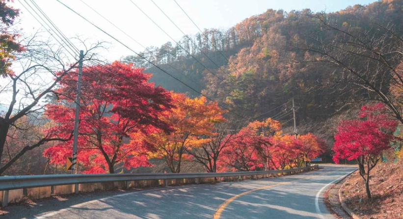 가을 여행하기 좋은곳 추천 : 베스트 9