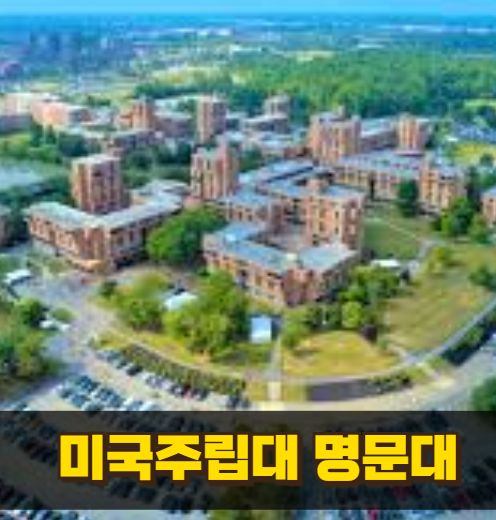 미국 주립대 명문대