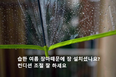 빗방울이 맺혀 있는 투명 비닐우산