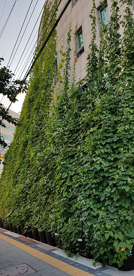 kbs1tv 다큐온 KBS1TV // 회천3동 생태그늘막 9