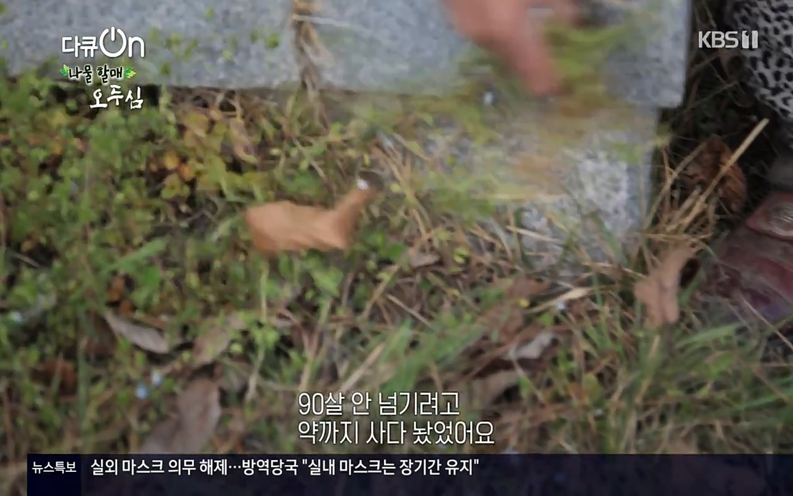 다큐 온.E138.220507p-NEXT.mp4_20220507_182557.346.jpg