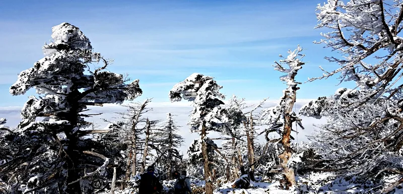제주 한라산 설경 상고대