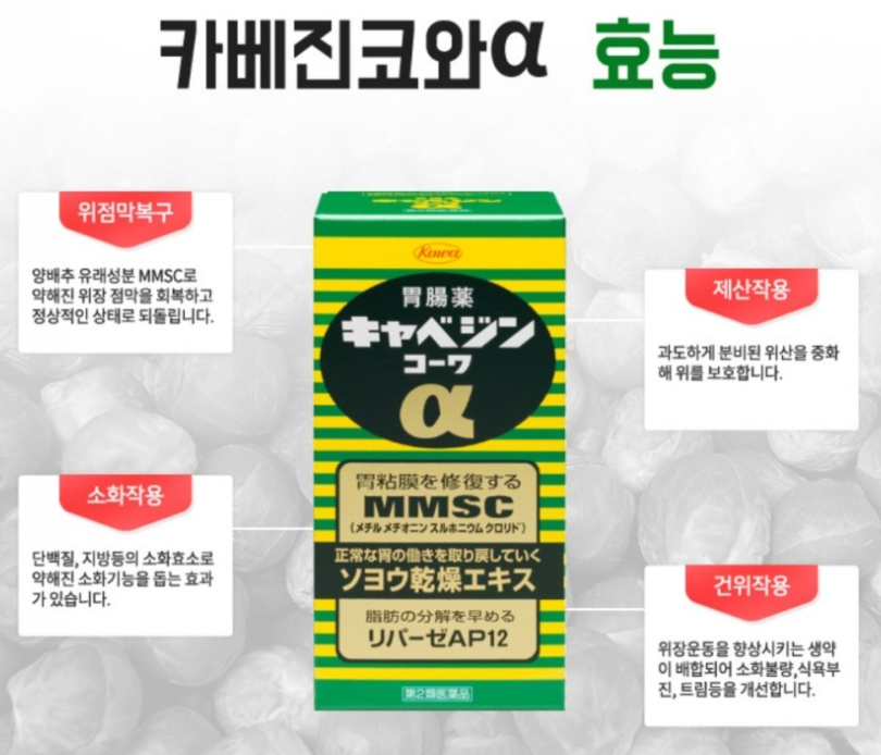  [일본직구] 카베진 코와 알파 정, 복용방법과 주의사항