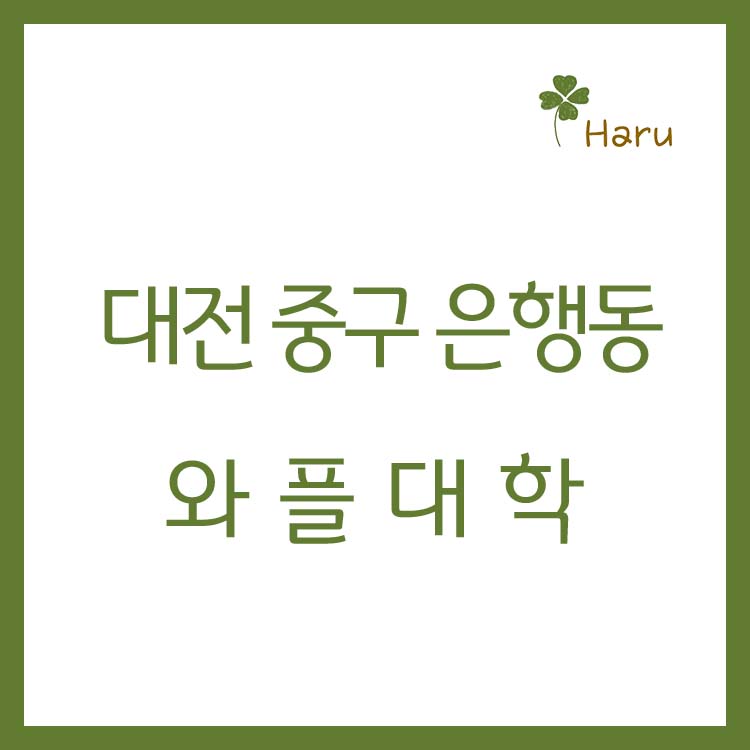 와플대학중앙로캠퍼스 이미지