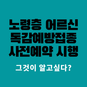  노령층 어르신 인플루엔자 독감 예방접종 사전예약 시작