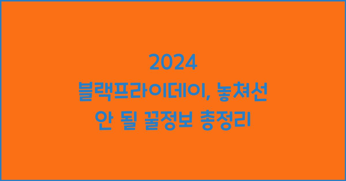 2024 블랙프라이데이